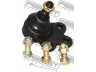 FEBEST 1020-CAP atramos/vairo trauklė
4813823, 96819162, 96852964