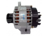 UNIPOINT F042A07022 kintamosios srovės generatorius
13117340, 13117341, 13117341AA
