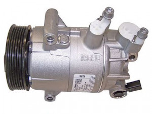 AUTOCLIMA 40420044 kompresorius, oro kondicionierius 
 Oro kondicionavimas -> Kompresorius/dalys
1K0820803F, 1K0820803G, 1K0820803H