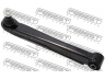 FEBEST 1225-EFRR vikšro valdymo svirtis
55210-38000