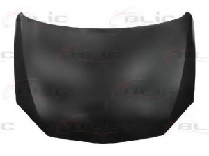 BLIC 6803-00-5023280P gaubtas 
 Kėbulas -> Transporto priemonės galas -> Gaubtas/dalys/garso izoliacinė medžiaga
11 60 248, 1160248, 9196450