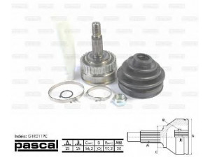 PASCAL G1R011PC jungčių komplektas, kardaninis velenas 
 Ratų pavara -> Sujungimai/komplektas
7701351948