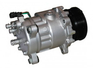 AUTOCLIMA 40405126 kompresorius, oro kondicionierius 
 Oro kondicionavimas -> Kompresorius/dalys
6N08208033, 6N0820803B, 6N0820803C