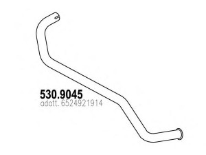 ASSO 530.9045 išleidimo kolektorius
6524921914