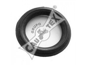 CAUTEX 010353 laikiklis, išmetimo sistema 
 Išmetimo sistema -> Surinkimo dalys -> Atskiros surinkimo dalys -> Gnybtas
4387294, SE138115514A