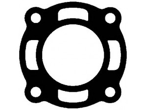 ELRING 862.230 tarpiklis, išleidimo kolektorius
51.08901-0153