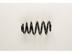 BILSTEIN 36-147915 spyruoklė 
 Pakaba -> Spyruoklės
8E0 511 115 DA