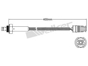WALKER PRODUCTS 250-24516 lambda jutiklis 
 Variklis -> Variklio elektra
11 78 1 433 071
