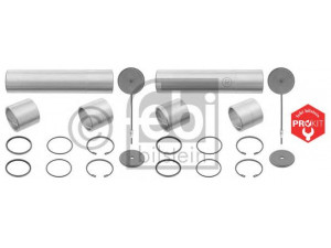FEBI BILSTEIN 06017 remonto komplektas, pasukamojo kakliuko kaištis 
 Ašies montavimas/vairavimo mechanizmas/ratai -> Pasukamojo kakliuko remonto rinkinys -> Remonto komplektas, karbiuratorius
391 330 00 19/2, 391 330 00 19/2S