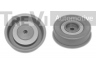 TREVI AUTOMOTIVE TD1419 kreipiantysis skriemulys, paskirstymo diržas
2528135530