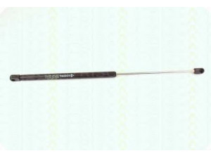 TRISCAN 8710 2401 dujinė spyruoklė, bagažinė