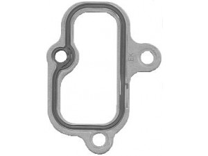 ELRING 100.040 tarpiklis, įsiurbimo kolektorius 
 Variklis -> Cilindrų galvutė/dalys -> Įsiurbimo kolektoriaus tarpiklis/sandarinimo žiedas
51.08901-0202, 51.08902-0202