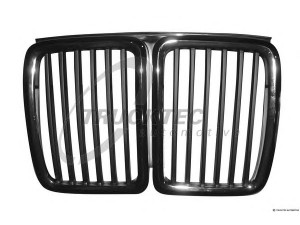 TRUCKTEC AUTOMOTIVE 08.62.237 radiatorius grotelės
51 13 1 884 350
