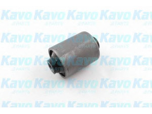 KAVO PARTS SCR-4518 valdymo svirties/išilginių svirčių įvorė 
 Ašies montavimas/vairavimo mechanizmas/ratai -> Valdymo svirtis/pasukamosios svirties sujungimas -> Montavimas/sutvirtinimas
GJ2134460B