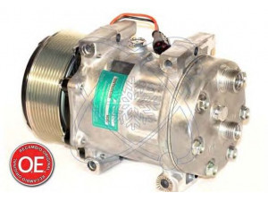 ELECTRO AUTO 20A8217 kompresorius, oro kondicionierius
87300121, 84807673, 6020, 84807673