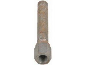 BOSCH 0 437 502 008 purkštukas