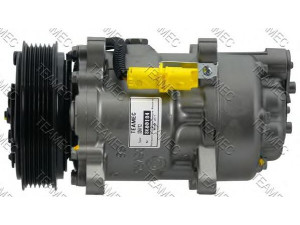 TEAMEC 8600184 kompresorius, oro kondicionierius 
 Oro kondicionavimas -> Kompresorius/dalys
6453KW, 6453LA, 9639078280, 6453KW
