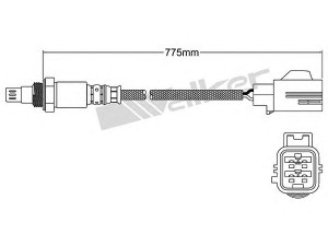 WALKER PRODUCTS 250-54077 lambda jutiklis 
 Variklis -> Variklio elektra
30713594, 30735328, 30751864