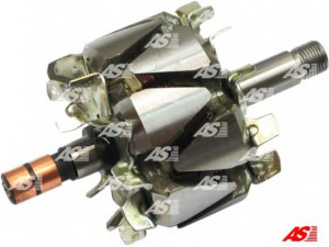 AS-PL AR9006 rotorius, kintamosios srovės generatorius