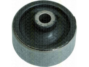 TRISCAN 8500 16809 valdymo svirties/išilginių svirčių įvorė 
 Ašies montavimas/vairavimo mechanizmas/ratai -> Valdymo svirtis/pasukamosios svirties sujungimas -> Montavimas/sutvirtinimas
1004011, 1014654, 1063372, 1E01-34-153A