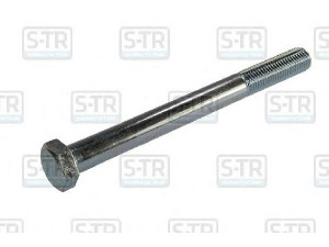S-TR STR-4M24X250 lingės varžtas