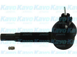 KAVO PARTS STE-5534 skersinės vairo trauklės galas 
 Vairavimas -> Vairo mechanizmo sujungimai
MC309192, MC309712, MC891398, MC891913