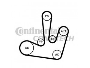 CONTITECH 6PK1795K1 V formos rumbuotas diržas, komplektas 
 Techninės priežiūros dalys -> Techninės priežiūros intervalai
4431986, 4449665, 117200713R, 7701477512