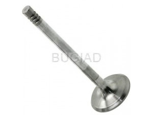 BUGIAD BSP23312 įleidimo vožtuvas 
 Variklis -> Variklio uždegimo laiko reguliavimo kontrolė -> Vožtuvų eilė -> Vožtuvai/dalys
06B 109 601 D