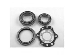 DELPHI BK1537 rato guolio komplektas