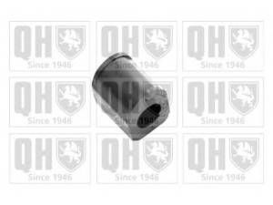 QUINTON HAZELL EMB7170 skersinio stabilizatoriaus įvorių komplektas 
 Ašies montavimas/vairavimo mechanizmas/ratai -> Stabilizatorius/fiksatoriai -> Sklendės
77 00 428 665
