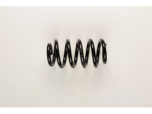 BILSTEIN 36-212613 spyruoklė 
 Pakaba -> Spyruoklės
8E0 411 105 CJ