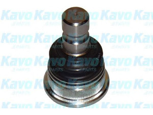 KAVO PARTS SBJ-4017 atramos/vairo trauklė 
 Ašies montavimas/vairavimo mechanizmas/ratai -> Sujungimai -> Atramos/vairo trauklė
545302K000, 545302K000
