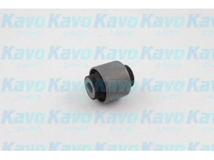 KAVO PARTS SCR-2051 valdymo svirties/išilginių svirčių įvorė 
 Ašies montavimas/vairavimo mechanizmas/ratai -> Valdymo svirtis/pasukamosios svirties sujungimas -> Montavimas/sutvirtinimas
51455SR3003