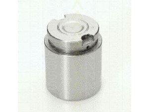 TRISCAN 8170 233418 stūmoklis, stabdžių apkaba