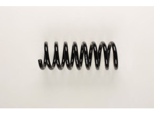 BILSTEIN 36-233908 spyruoklė 
 Pakaba -> Spyruoklės
140 324 16 04