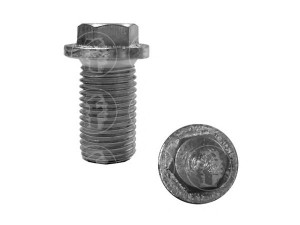 FARE SA 0638 alyvos išleidimo kaištis, alyvos karteris 
 Variklis -> Tepimas -> Alyvos karteris/dalys -> Alyvos išleidimo kaištis
1119970330