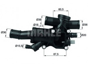 MAHLE ORIGINAL TH 44 83 termostatas, aušinimo skystis 
 Aušinimo sistema -> Termostatas/tarpiklis -> Thermostat
1336X1, 1336Y9, 9656182980, 1251116