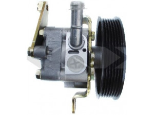 SPIDAN 54287 hidraulinis siurblys, vairo sistema 
 Vairavimas -> Vairo pavara/siurblys
49110-AV710