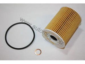 AUTOMEGA 1048070966 alyvos filtras 
 Filtrai -> Alyvos filtras
4807966, 4807966, 4807966, 93743595