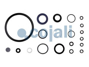 COJALI 6034039 remonto komplektas, sankabos stiprintuvas