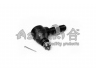 ASHUKI 1449-0008 skersinės vairo trauklės galas 
 Vairavimas -> Vairo mechanizmo sujungimai
111-08-802R/ASHIKA, 48810-63002