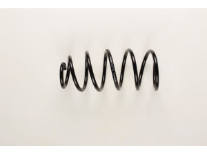 BILSTEIN 37-131326 spyruoklė 
 Pakaba -> Spyruoklės
1J0 411 105 J