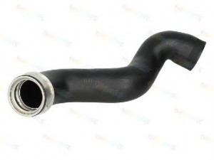 THERMOTEC DCA005TT kompresoriaus padavimo žarna
8E0145745B