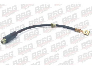 BSG BSG 65-730-011 stabdžių žarnelė 
 Stabdžių sistema -> Stabdžių žarnelės
5 62 377, 562377, 90498319