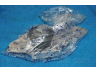 PARTS-MALL PHJ-006 vandens siurblys
19200-P8A-A02