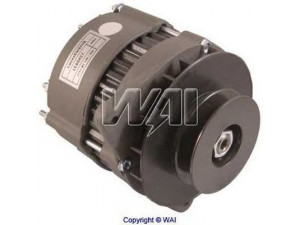 WAIglobal 12154N-OE kintamosios srovės generatorius
2871A602