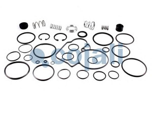 COJALI 6012052 remonto komplektas