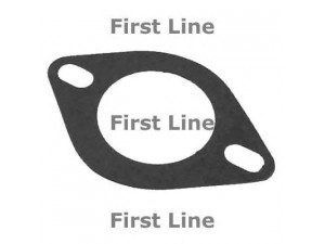 FIRST LINE TG066 termostatas, aušinimo skystis 
 Aušinimo sistema -> Termostatas/tarpiklis -> Thermostat
60777745