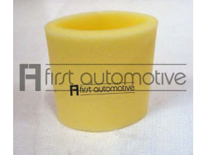 1A FIRST AUTOMOTIVE A60421 oro filtras 
 Filtrai -> Oro filtras
10033346, 1144566, 4014457.98, 79011445.51
