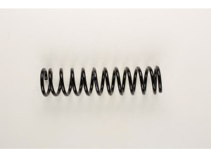 BILSTEIN 36-130771 spyruoklė 
 Pakaba -> Spyruoklės
893 511 115 A